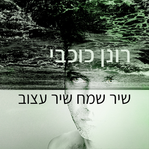 שיר שמח שיר עצוב
