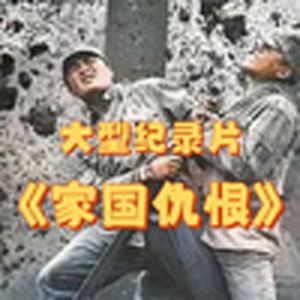 大型纪录片《国仇家恨》