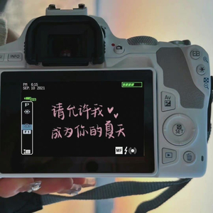 徐良-坏女孩 （英文版）