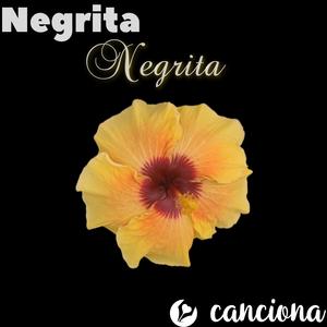 Negrita