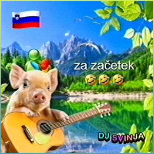 GORENJSKO - DJ SVINJA Remix