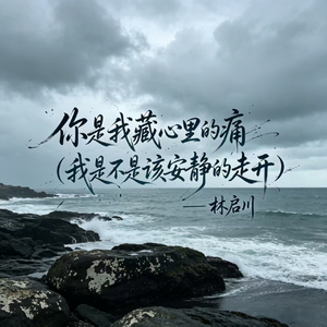 你是我藏心里的痛(我是不是该安静的走开)