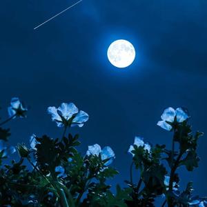 老男孩（嘴硬版本）