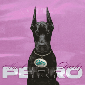 PERRO