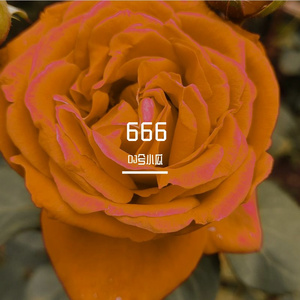 刘肖-简单的幸福 (Remix)（翻自 王铎）