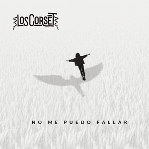 NO ME PUEDO FALLAR