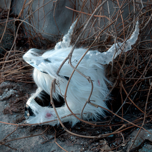 Gasolina (DJ BOM92 Remix)