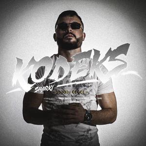 Kodeks