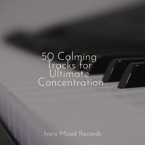 Fleeting Origami Dreamscape