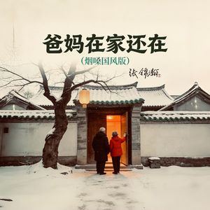 爸妈在家还在（烟嗓国风版）
