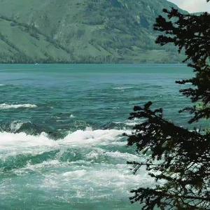 总有些人一转身