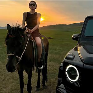 白狐（DJ热门版）