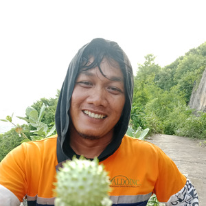 KECUBUNG LIAR