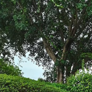 万物复苏春意浓