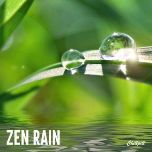 Rain on Stepping Stones