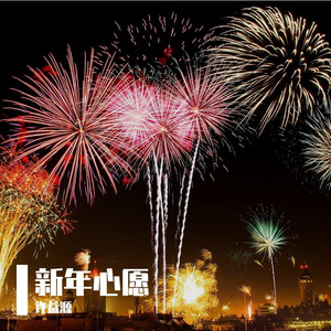 新年心愿