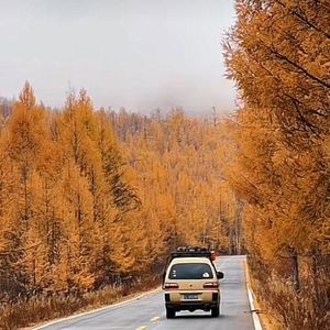 这么快就秋天了