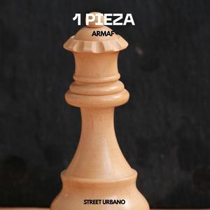 1 PIEZA
