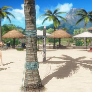 火红的萨日朗 (Live)伴奏