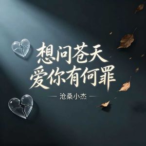 想问苍天爱你有何罪