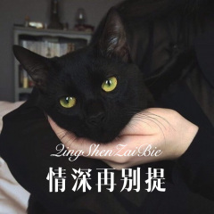 大漠情人 (Remix)