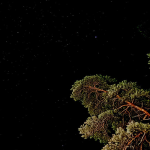 ВЫСОКО (feat. hunterrbeatz)