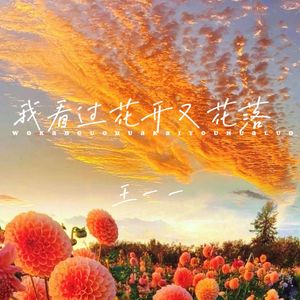 我看过花开又花落