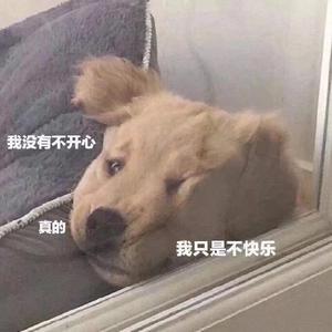 唐老鸭
