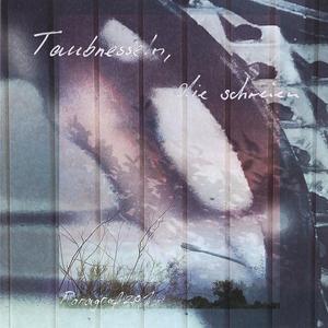 Es hätte gut gepasst