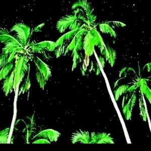 710 (Palm view)