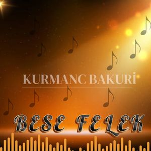 Bese Felek