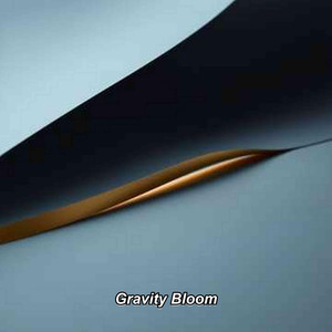 Gravity Bloom
