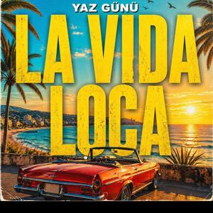 LA VIDA LOCA