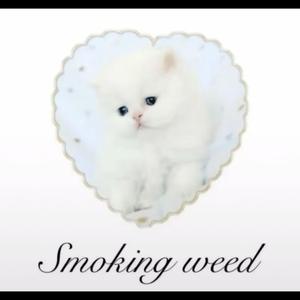 ya be on that lame shi (feat. alycat)