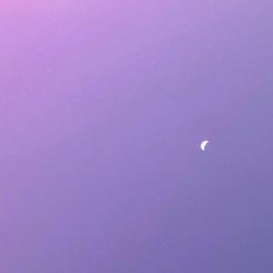 fly away to the moon (feat. jacy nyte)