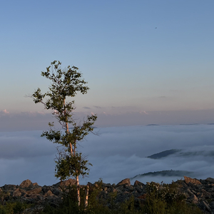 你是我情愿虚度的漫长十年