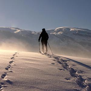 Traverse Every Mountain