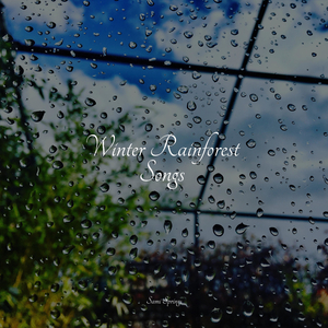 Rain, Glass, Window Pane