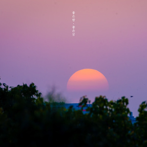 좋은 밤, 좋은 꿈