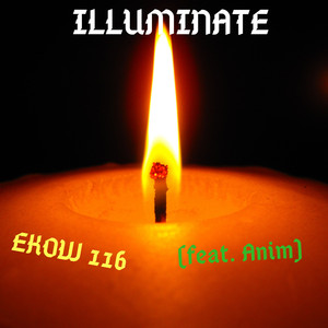 Illuminate (feat. Anim)