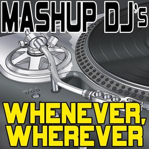 Whenever, Wherever (Original Radio Mix) [Re-Mix Tool]