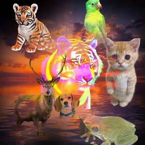 Animales