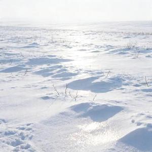 温习 (Cover 徐怀钰)