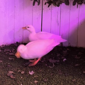 找不着北(于北辰).wav