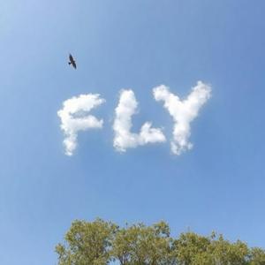 FLY