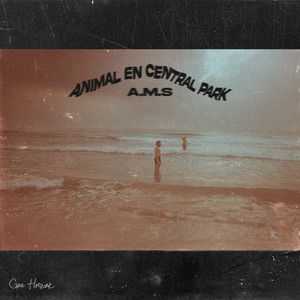 Animal en Central Park