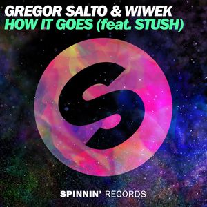 How It Goes (feat. Stush) [Extended Mix]