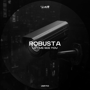 Let Me See You (Radio Edit)
