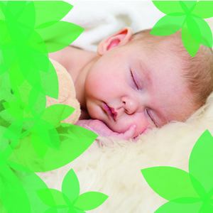 Ήσυχο και αργό