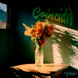 Coincidir